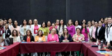 Contribuye Instituto de las Mujeres de Tamaulipas al Diagnóstico Nacional sobre la Violencia 