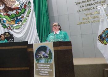 Reconocen Diputados labor para la protección de tortuga lora en Tamaulipas