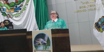 Reconocen Diputados labor para la protección de tortuga lora en Tamaulipas
