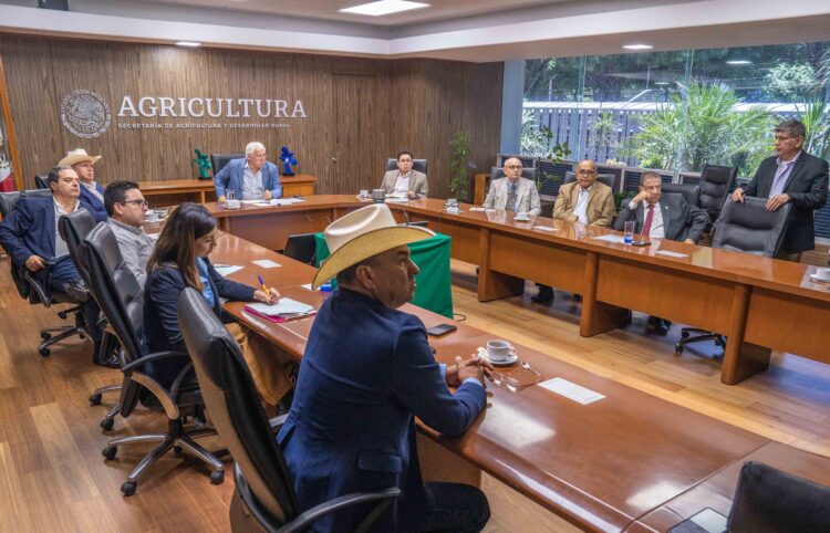 Presenta SADER estrategia de prevención contra gusano barrenador del ganado en México