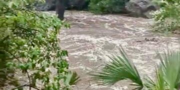 Saldo blanco en infraestructura de COMAPA Victoria tras las lluvias de tormenta Alberto