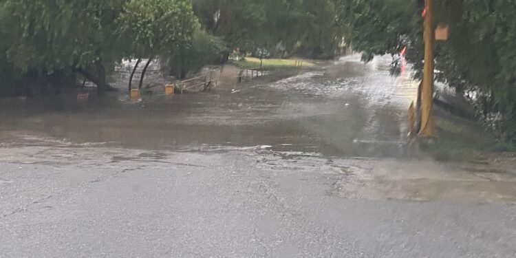 Lluvia de 6 pulgadas en 18 horas en Cd. Victoria, hacen rugir el río San Marcos; daños leves en la ciudad.