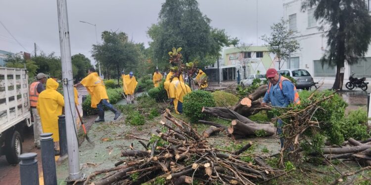 Lluvia de 6 pulgadas en 18 horas en Cd. Victoria, hacen rugir el río San Marcos; daños leves en la ciudad.