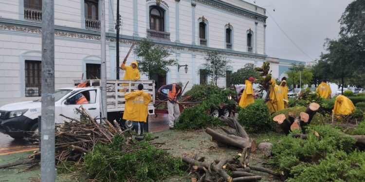 Lluvia de 6 pulgadas en 18 horas en Cd. Victoria, hacen rugir el río San Marcos; daños leves en la ciudad.