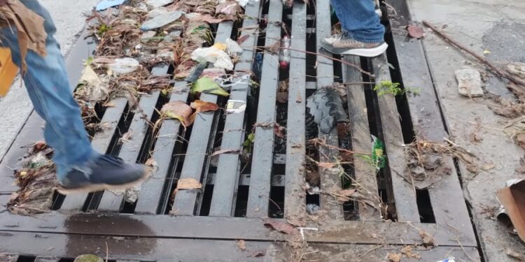 Lluvia de 6 pulgadas en 18 horas en Cd. Victoria, hacen rugir el río San Marcos; daños leves en la ciudad.