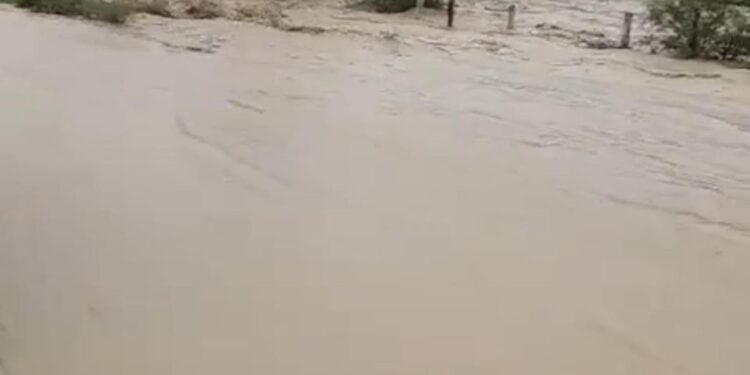 Lluvias de 6 a 8 pulgadas en zona centro de Tamaulipas; alertan por desbordes de arroyos y ríos