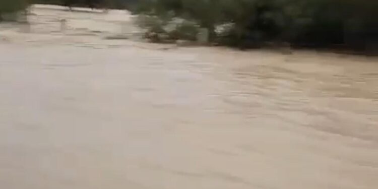 Lluvias de 6 a 8 pulgadas en zona centro de Tamaulipas; alertan por desbordes de arroyos y ríos