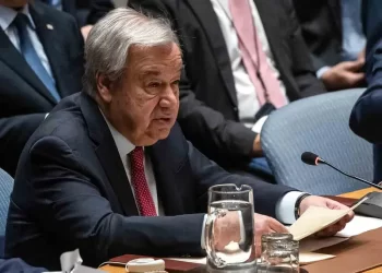 ONU publica código de conducta contra desinformación en línea