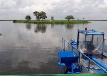 Superada emergencia hídrica en la zona conurbada Tampico, Madero y Altamira, tras paso de tormenta Alberto