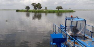 Superada emergencia hídrica en la zona conurbada Tampico, Madero y Altamira, tras paso de tormenta Alberto