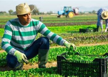 Proponen reforma a la Ley del Cambio Climático en Tamaulipas