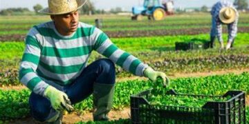 Proponen reforma a la Ley del Cambio Climático en Tamaulipas