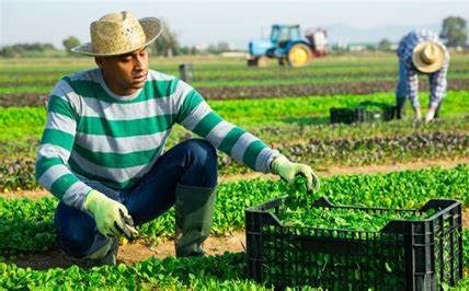 Proponen reforma a la Ley del Cambio Climático en Tamaulipas