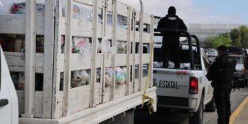 Llevan SSPT y PC despensas y atención médica a ejido Las Vírgenes de San Nicolás