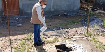 Refuerza la SST vigilancia sanitaria para prevenir enfermedades causadas por moscos