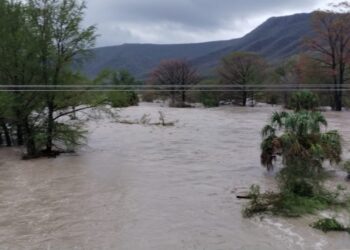 Resuelve “Alberto” crisis hídrica en 5 distritos de riego de Tamaulipas; hay déficit en la frontera