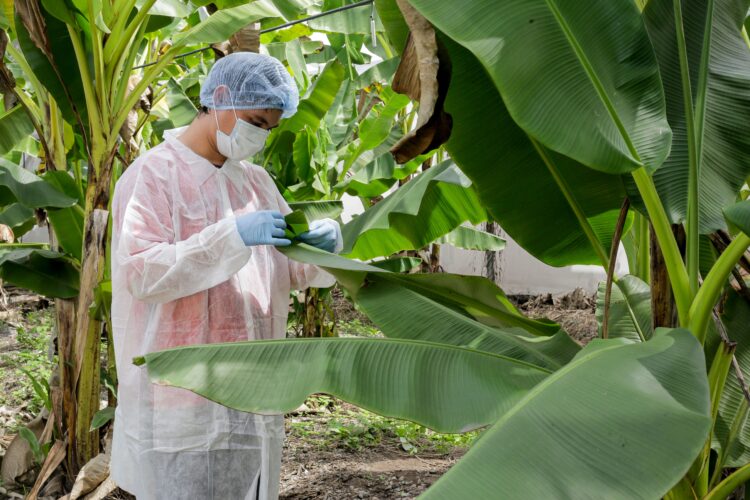 Realizarán en San Luis Potosí la Semana Nacional de la Sanidad Vegetal del 1 al 5 de julio