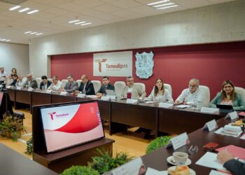 Promueve Secretaría de Economía inversión de empresas francesas en Tamaulipas