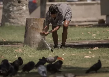 Mueren 4 migrantes por ola de calor al intentar cruzar la frontera rumbo a EU