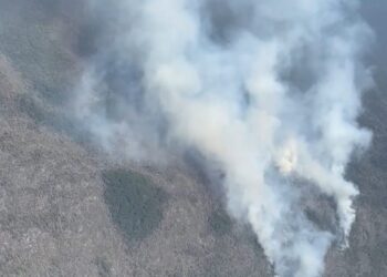 Detectan incendio forestal en Jaumave
