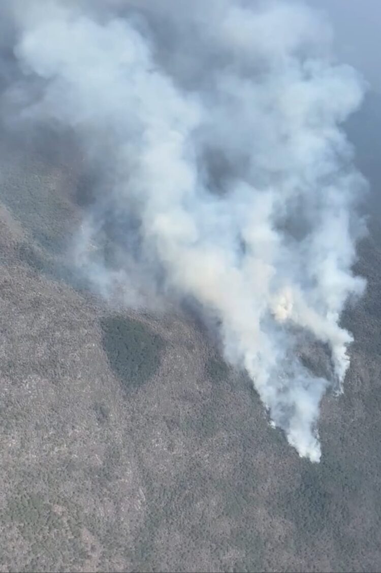Detectan incendio forestal en Jaumave