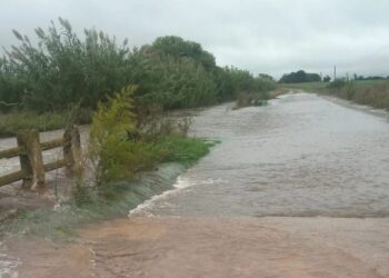 Incomunicadas 313 familias en ejidos de Victoria