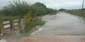 Incomunicadas 313 familias en ejidos de Victoria