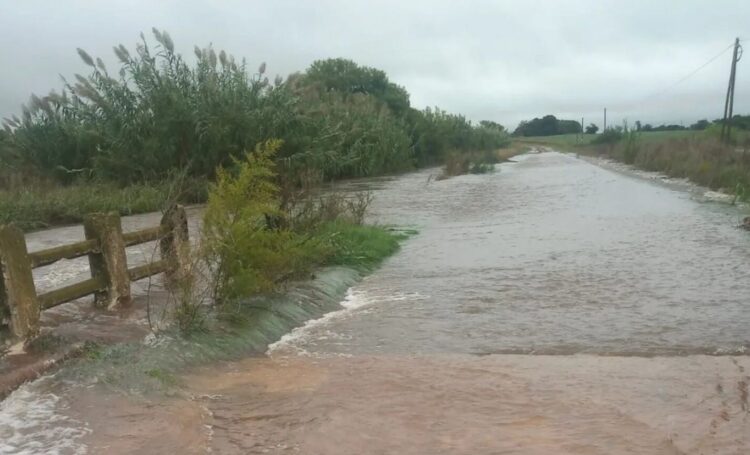 Incomunicadas 313 familias en ejidos de Victoria