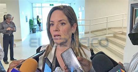 Denuncia Alejandra Cárdenas presuntas anomalías en el Distrito XIV