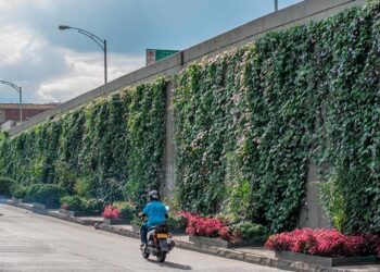 Exhortan a 43 gobiernos municipales fomentar muros y corredores verdes