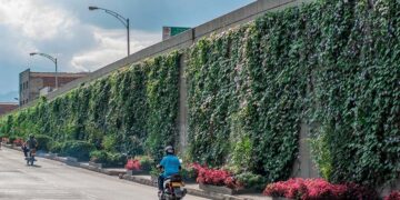 Exhortan a 43 gobiernos municipales fomentar muros y corredores verdes