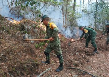 Intensifican combate a incendio forestal en Jaumave