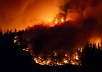 Evacuan prisión en Canadá por incendios forestales