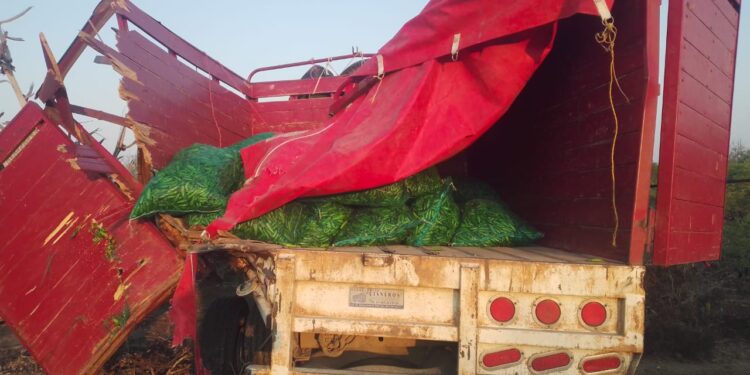 Chocan tractocamión y camioneta de redilas en carretera Victoria-Tula-SLP