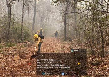 Envían más brigadistas para combatir incendio forestal en Jaumave