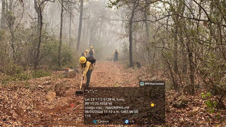 Envían más brigadistas para combatir incendio forestal en Jaumave