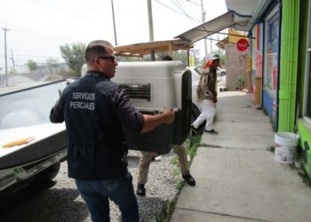 Tiene Fiscalía de Tamaulipas peritos veterinarios para dictaminar maltrato animal