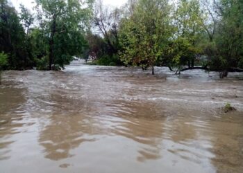 Saldo blanco por lluvias: Gobernador
