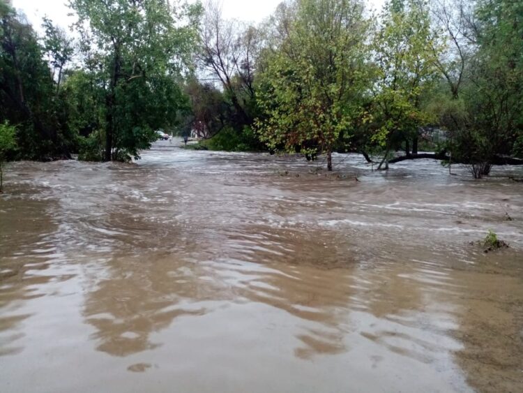 Saldo blanco por lluvias: Gobernador