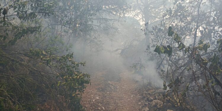 Intensifican combate a incendio forestal en Jaumave