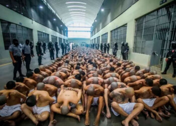 Argentina implementará estrategia de Bukele contra pandillas y narcotráfico