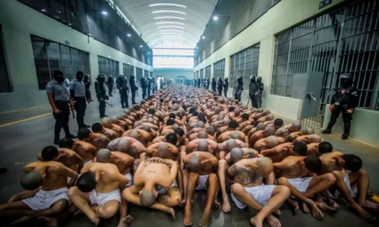 Argentina implementará estrategia de Bukele contra pandillas y narcotráfico