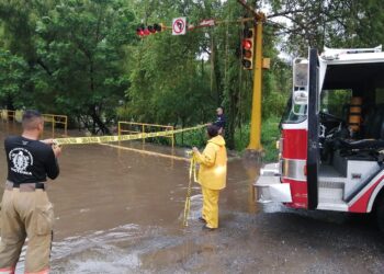 Deja “Alberto” beneficios a Victoria
