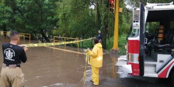 Deja “Alberto” beneficios a Victoria