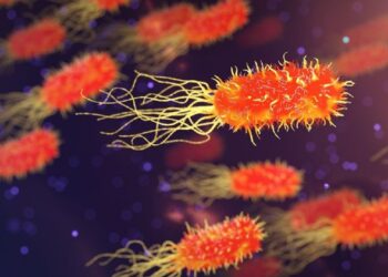 Japón en alerta por bacteria carnívora que mata en dos días