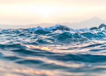 Urge a más países a unirse al Tratado Global de los Océanos para proteger la biodiversidad marina