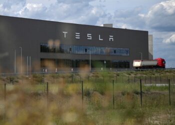 Aumento de casos de dengue preocupa a EE.UU.: alerta para viajeros desde Puerto Rico