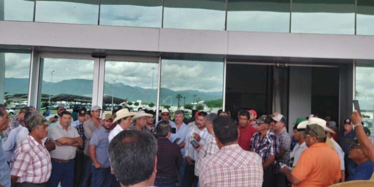 Sorgueros de Tamaulipas dan ultimátum a SADER; claman apoyo emergente por quiebra y advierten bloquear puentes internacionales