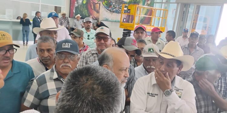 Sorgueros de Tamaulipas dan ultimátum a SADER; claman apoyo emergente por quiebra y advierten bloquear puentes internacionales