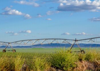 Promueve Secretaría Agricultura tecnologías para uso eficiente del agua